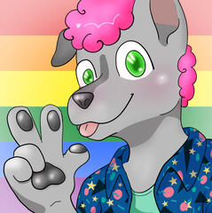 Drew the Husky social media avatar